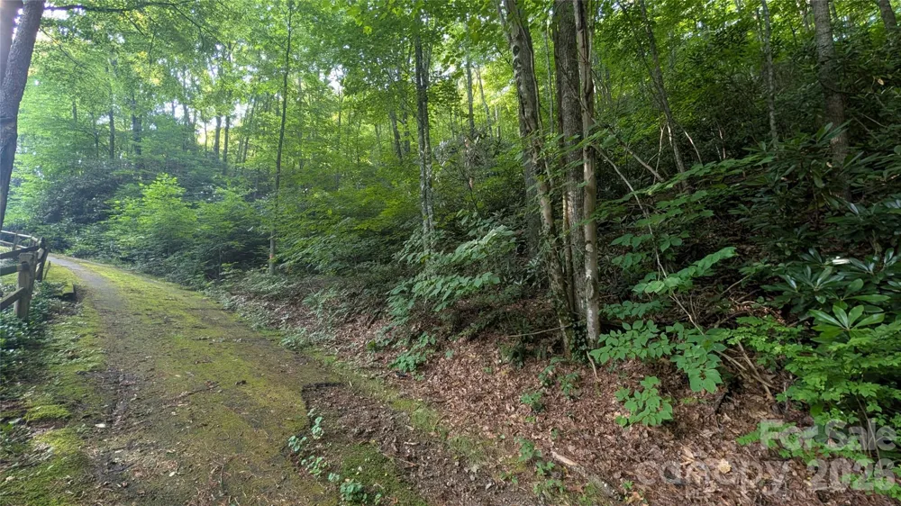 00 Chestnut Walk #6,7,8 Waynesville, NC 28786