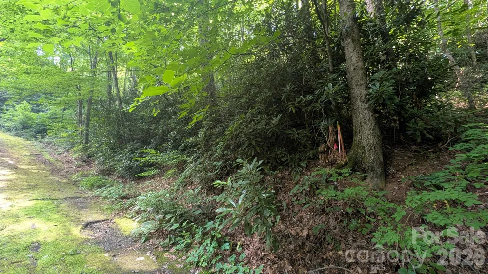 00 Chestnut Walk #6,7,8 Waynesville, NC 28786