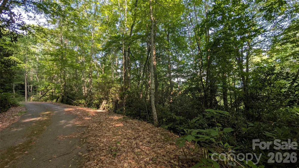 00 Chestnut Walk #6,7,8 Waynesville, NC 28786