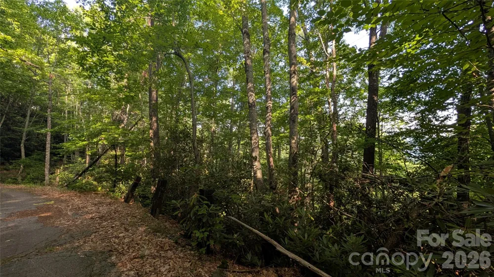00 Chestnut Walk #6,7,8 Waynesville, NC 28786