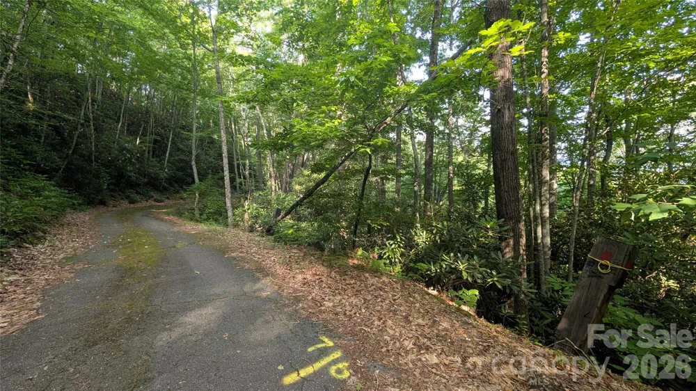 00 Chestnut Walk #6,7,8 Waynesville, NC 28786