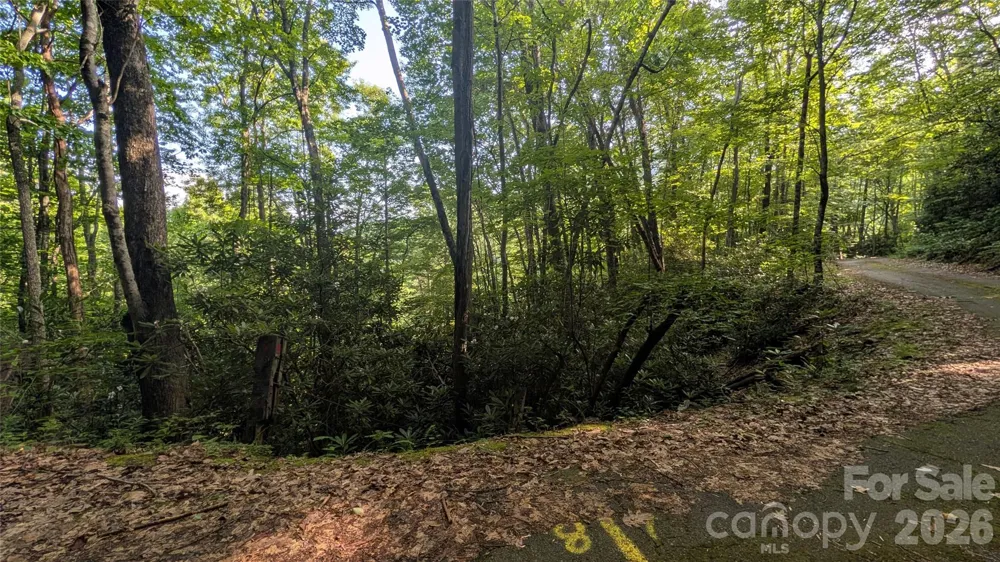 00 Chestnut Walk #6,7,8 Waynesville, NC 28786