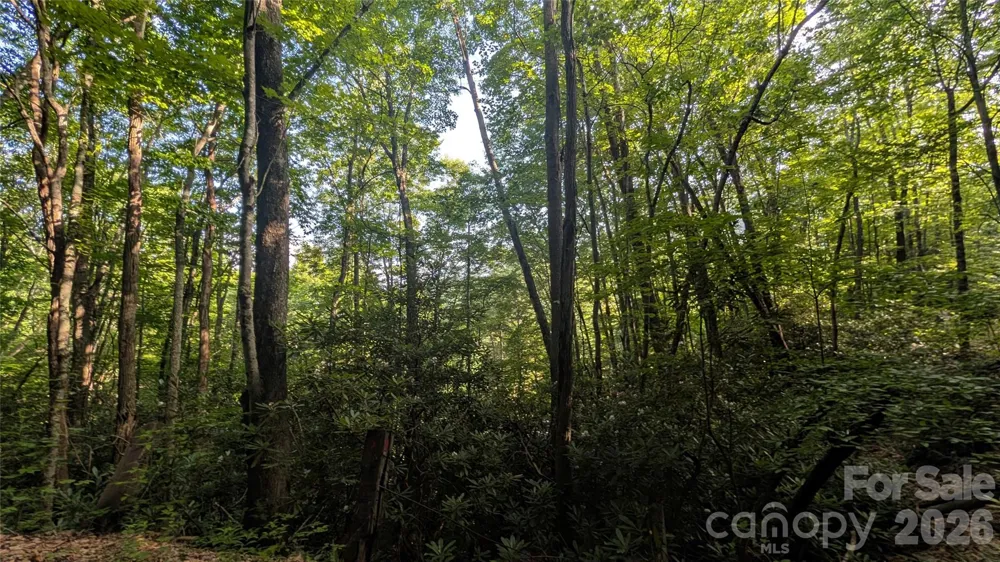00 Chestnut Walk #6,7,8 Waynesville, NC 28786