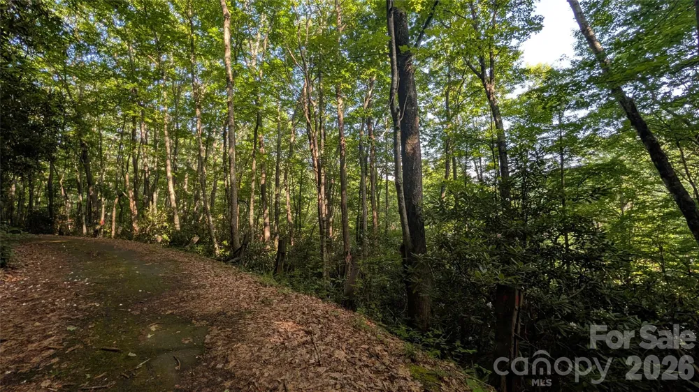 00 Chestnut Walk #6,7,8 Waynesville, NC 28786