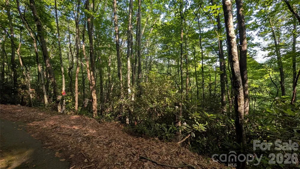 00 Chestnut Walk #6,7,8 Waynesville, NC 28786