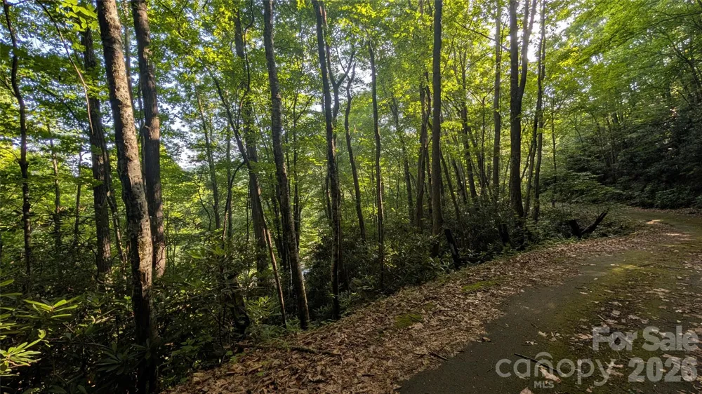 00 Chestnut Walk #6,7,8 Waynesville, NC 28786