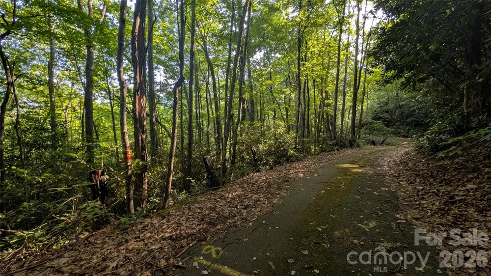 00 Chestnut Walk #6,7,8 Waynesville, NC 28786