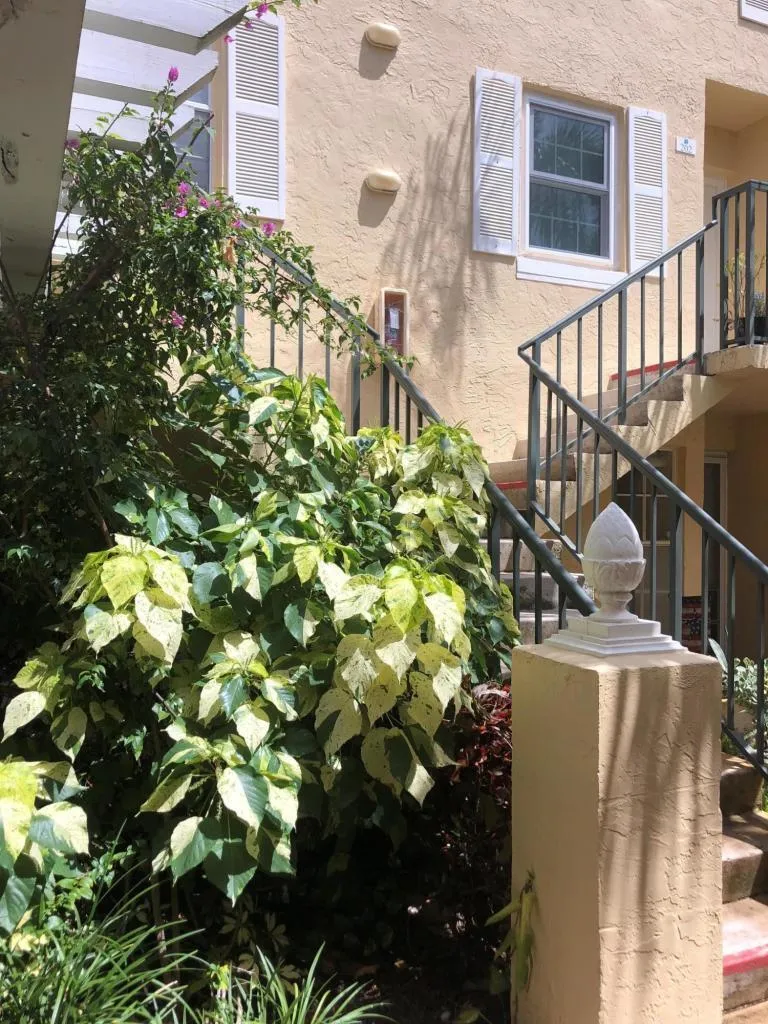 1045 Lake Shore Drive #206 Lake Park, FL 33403