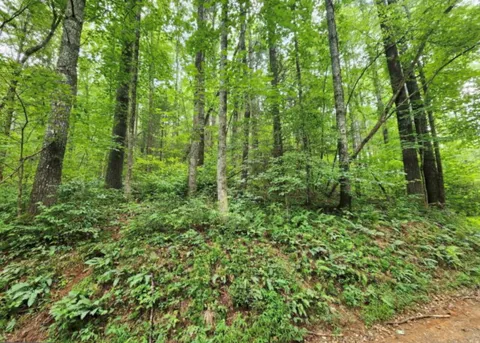 2A Poplar Cove