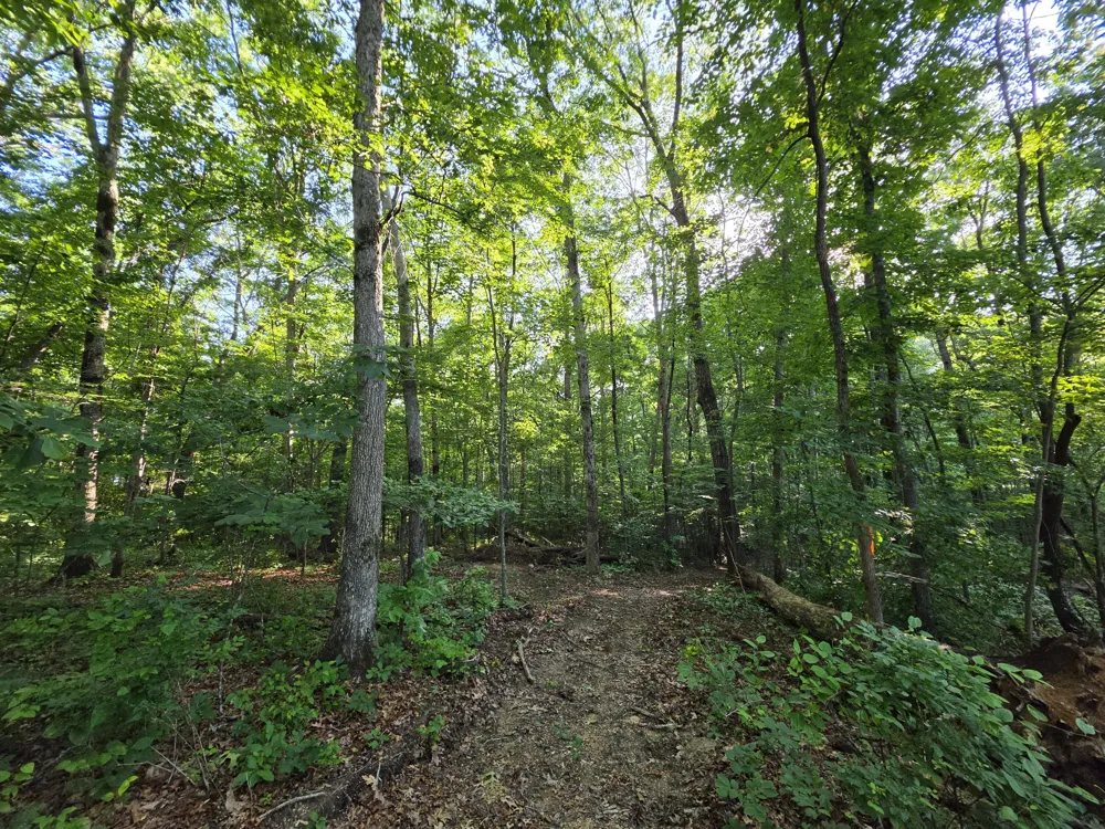 35 Chickory Lane Monteagle, TN 37356