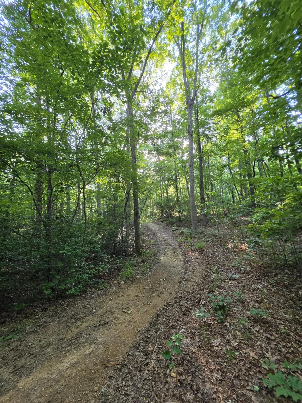 35 Chickory Lane Monteagle, TN 37356
