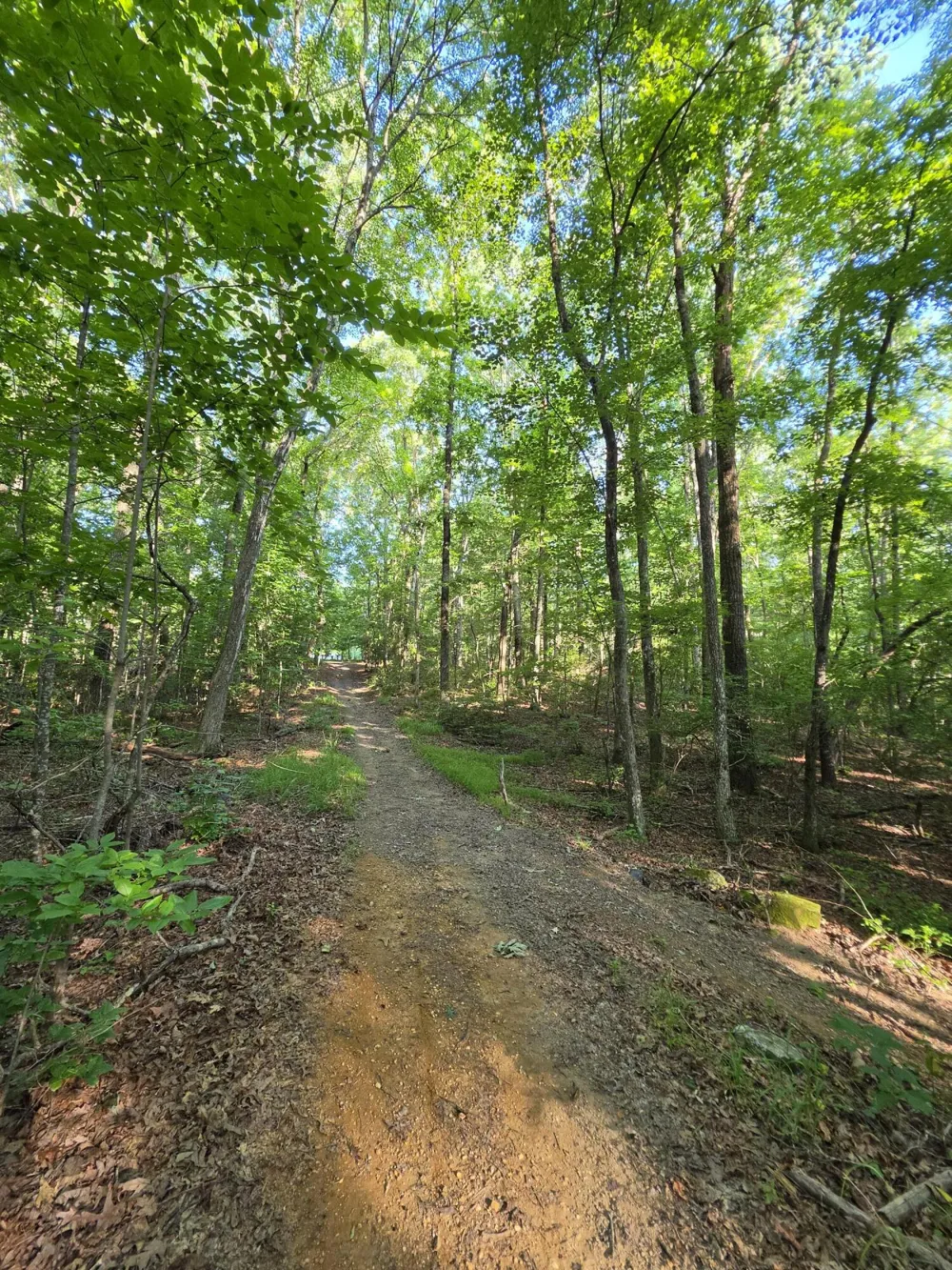35 Chickory Lane Monteagle, TN 37356