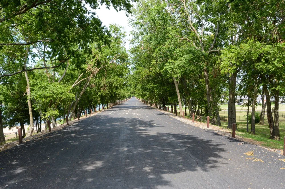 125 Pond Trail Kemp, TX 75143