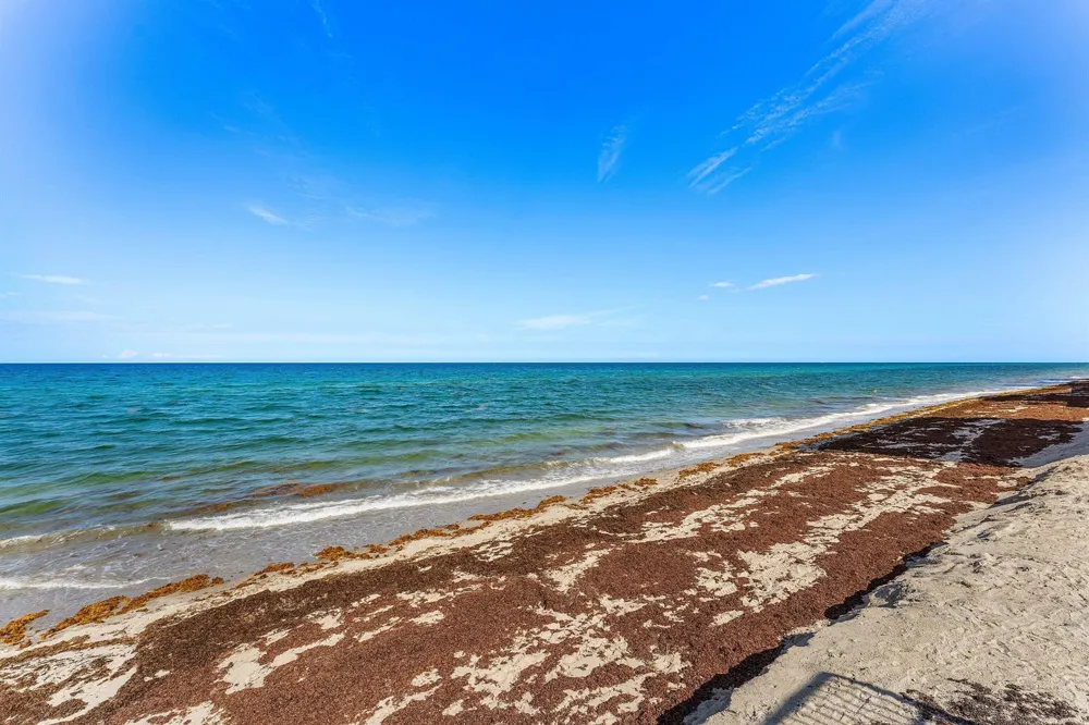 3545 S Ocean Boulevard #405 South Palm Beach, FL 33480