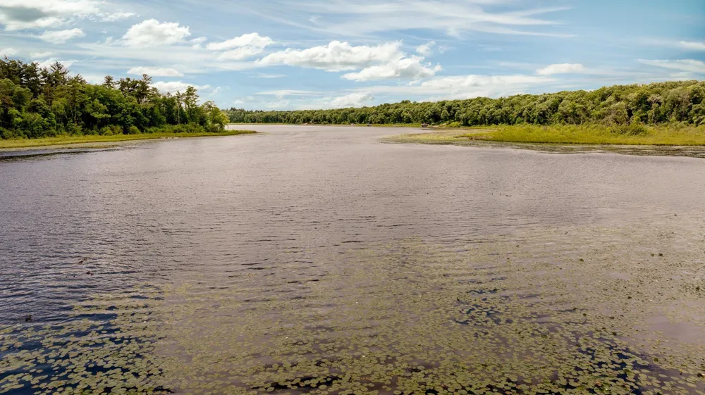 26667 Edna Lake Road Nisswa, MN 56468