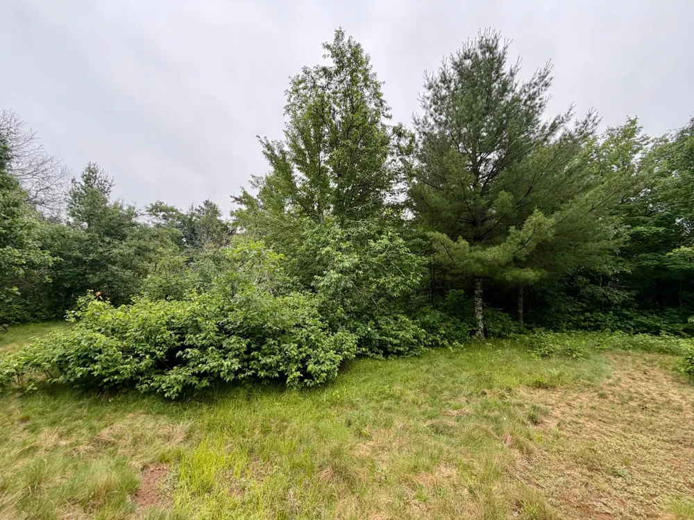 7113 E Fire Hill Road Gordon, WI 54838