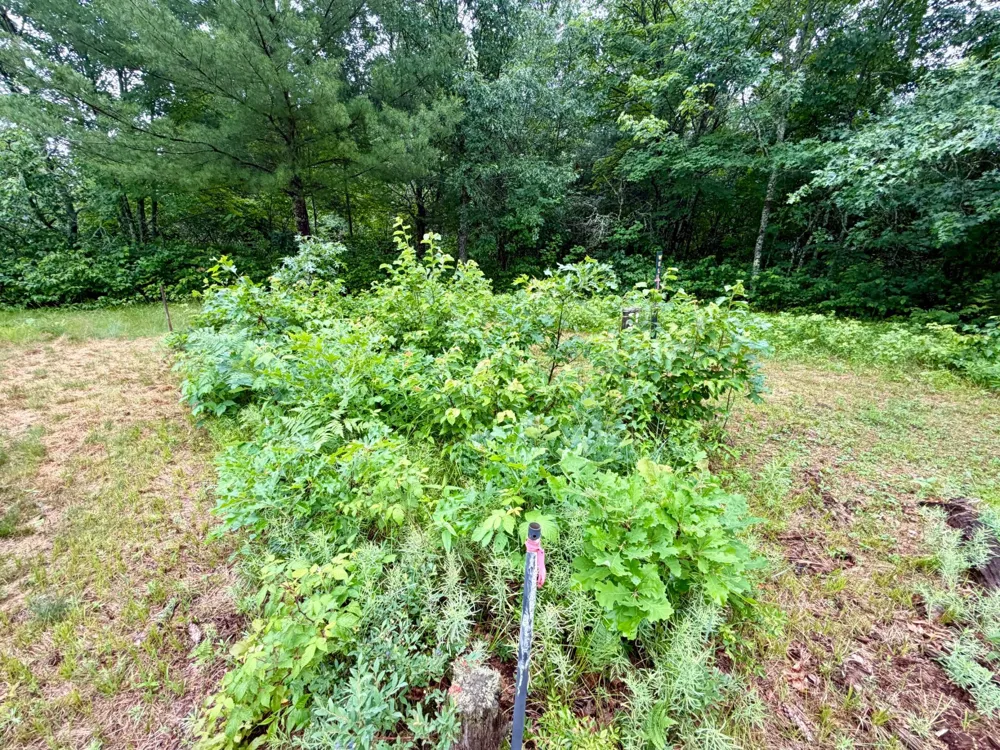 7113 E Fire Hill Road Gordon, WI 54838