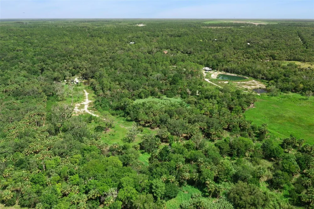 CANVASBACK TRAIL Geneva, FL 32732