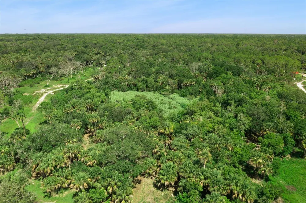 CANVASBACK TRAIL Geneva, FL 32732