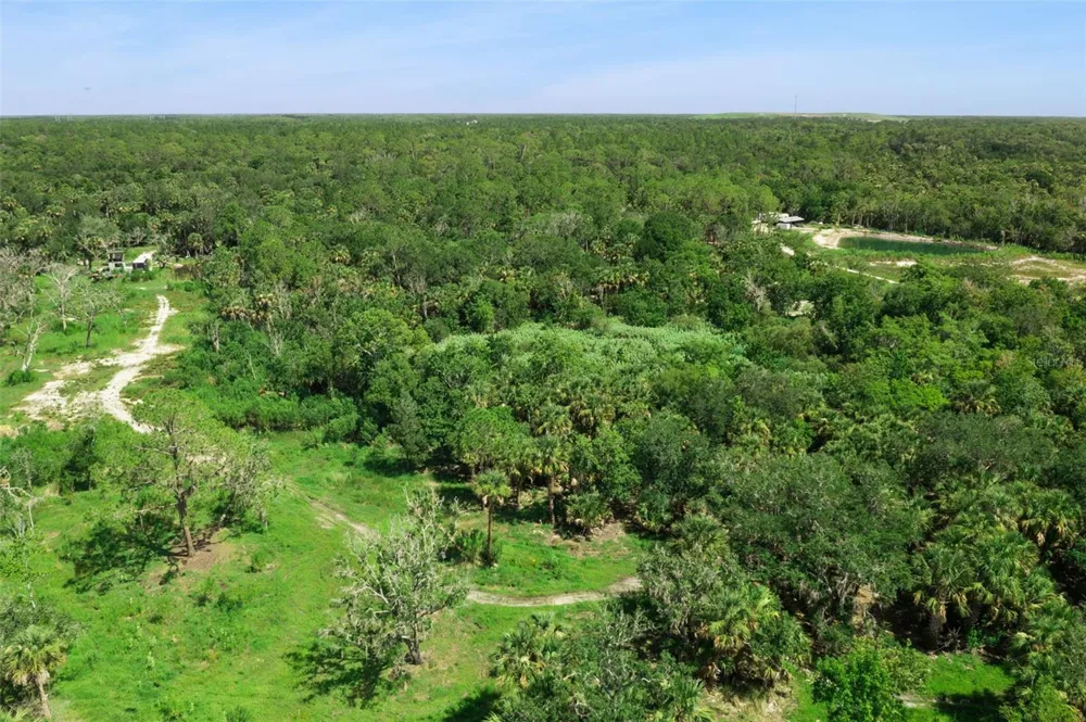 CANVASBACK TRAIL Geneva, FL 32732