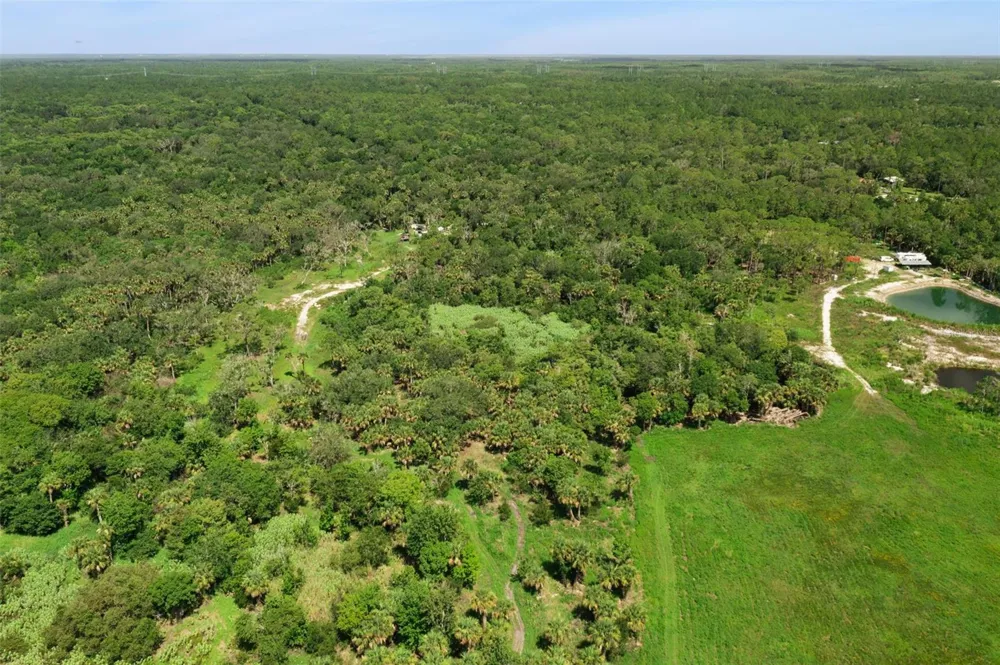 CANVASBACK TRAIL Geneva, FL 32732