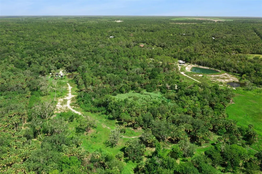 CANVASBACK TRAIL Geneva, FL 32732