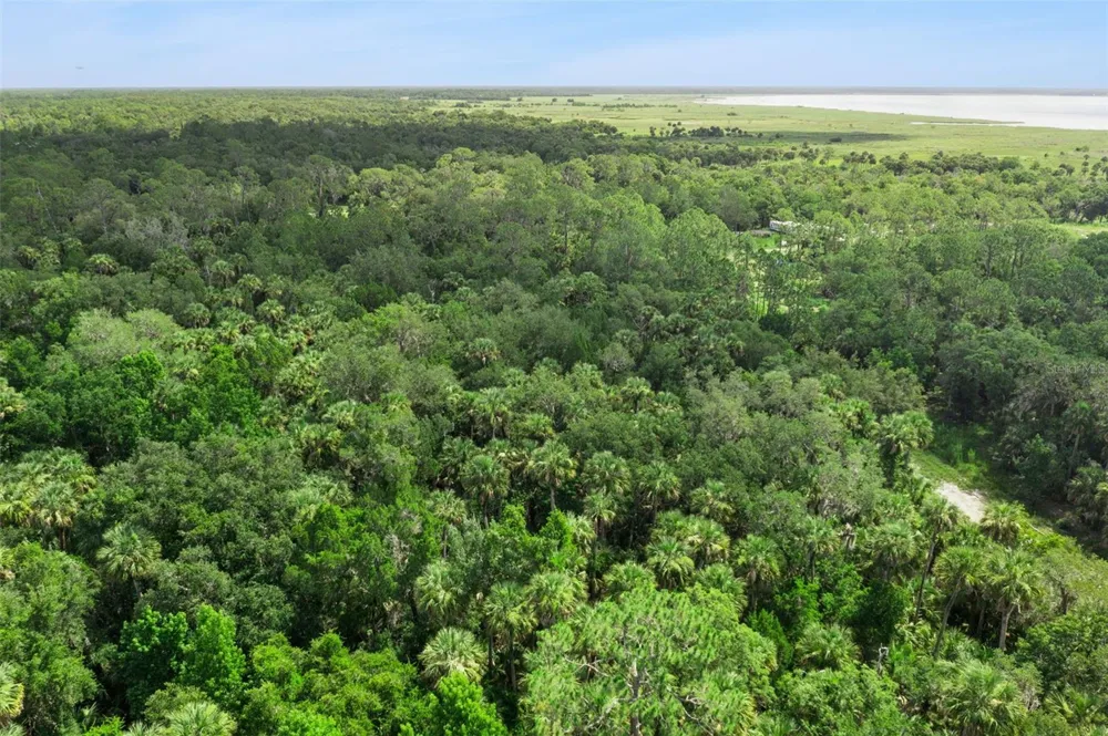 2401 CANVASBACK TRAIL Geneva, FL 32732