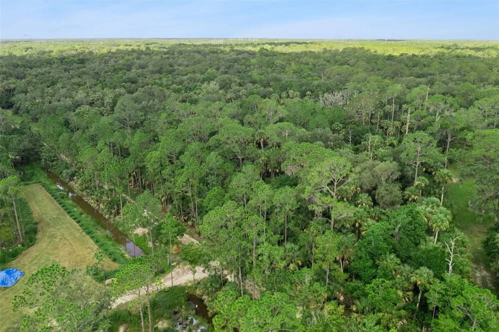 2401 CANVASBACK TRAIL Geneva, FL 32732