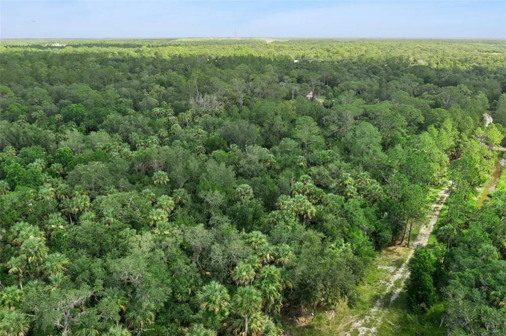 2401 CANVASBACK TRAIL Geneva, FL 32732