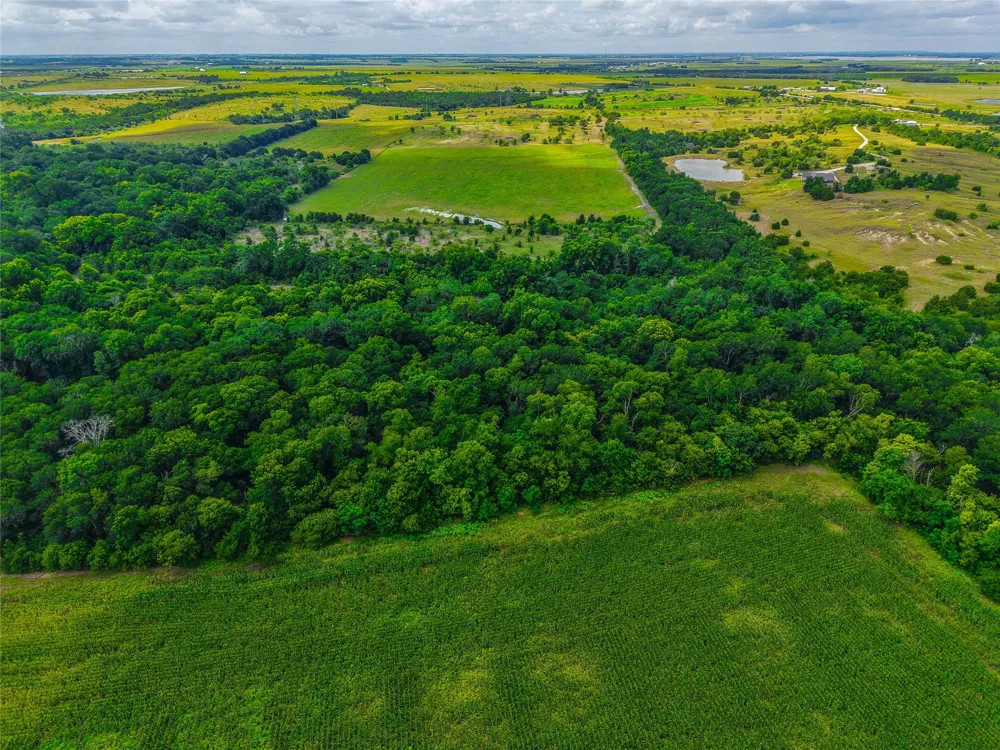 524 County Road 453 Troy, TX 76579