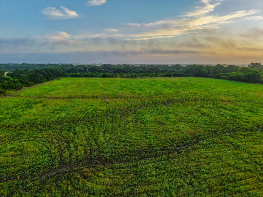 524 County Road 453 Troy, TX 76579