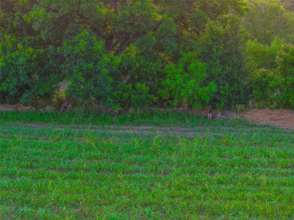 524 County Road 453 Troy, TX 76579