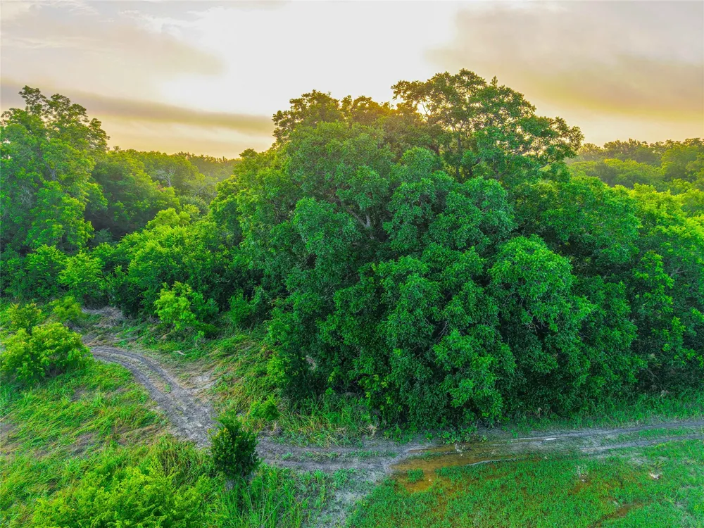 524 County Road 453 Troy, TX 76579