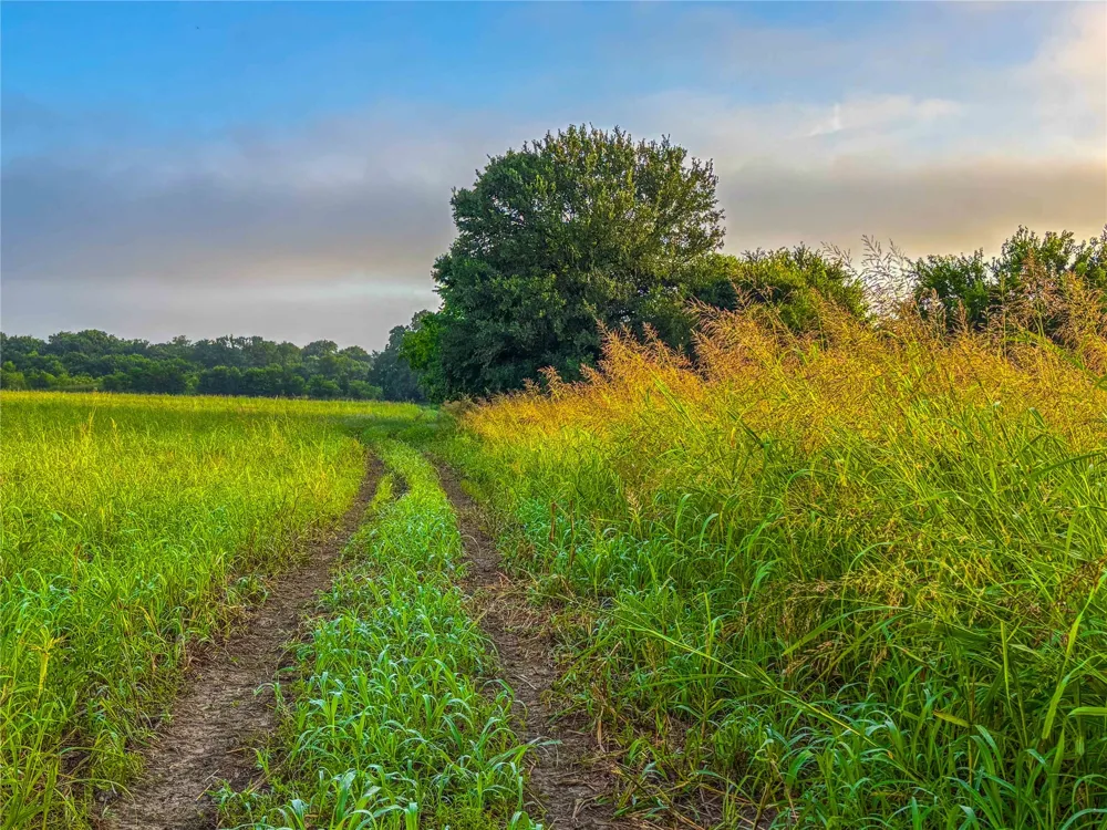 524 County Road 453 Troy, TX 76579