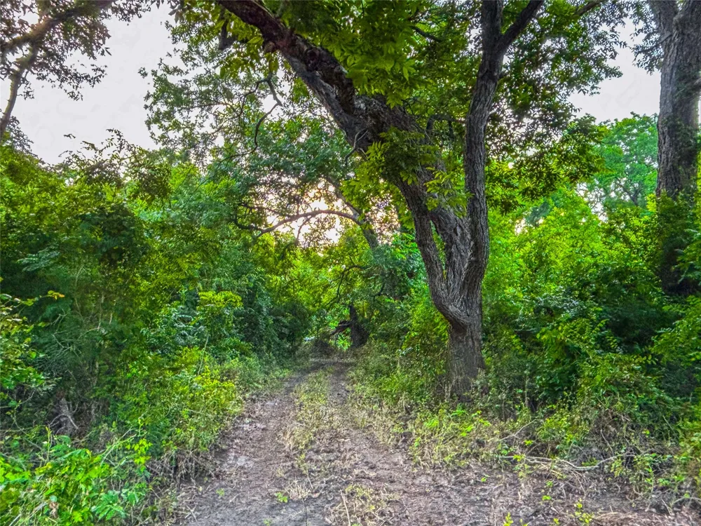 524 County Road 453 Troy, TX 76579