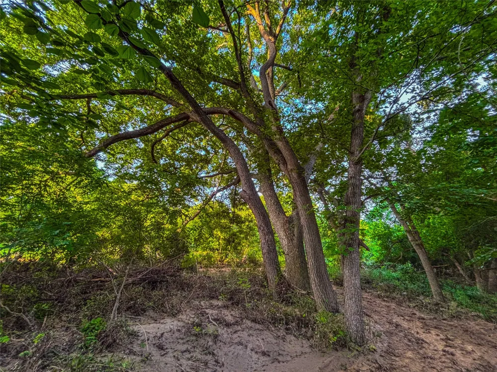 524 County Road 453 Troy, TX 76579
