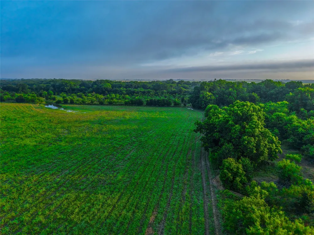 524 County Road 453 Troy, TX 76579