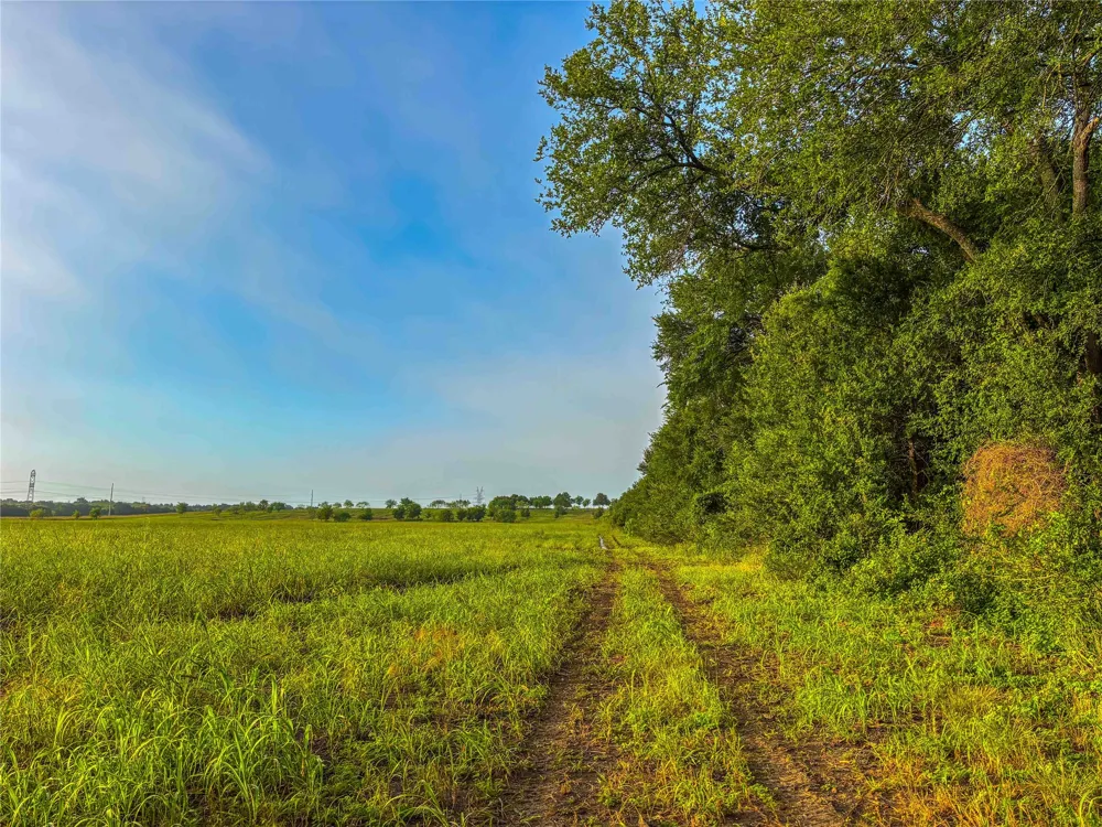 524 County Road 453 Troy, TX 76579