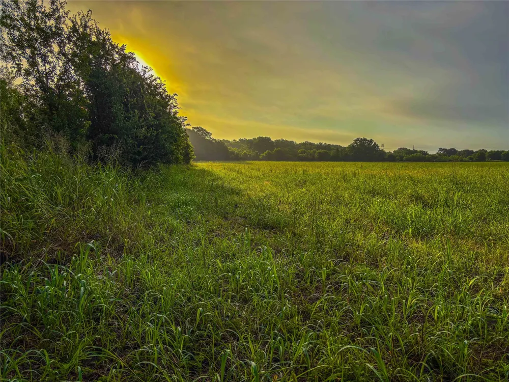 524 County Road 453 Troy, TX 76579