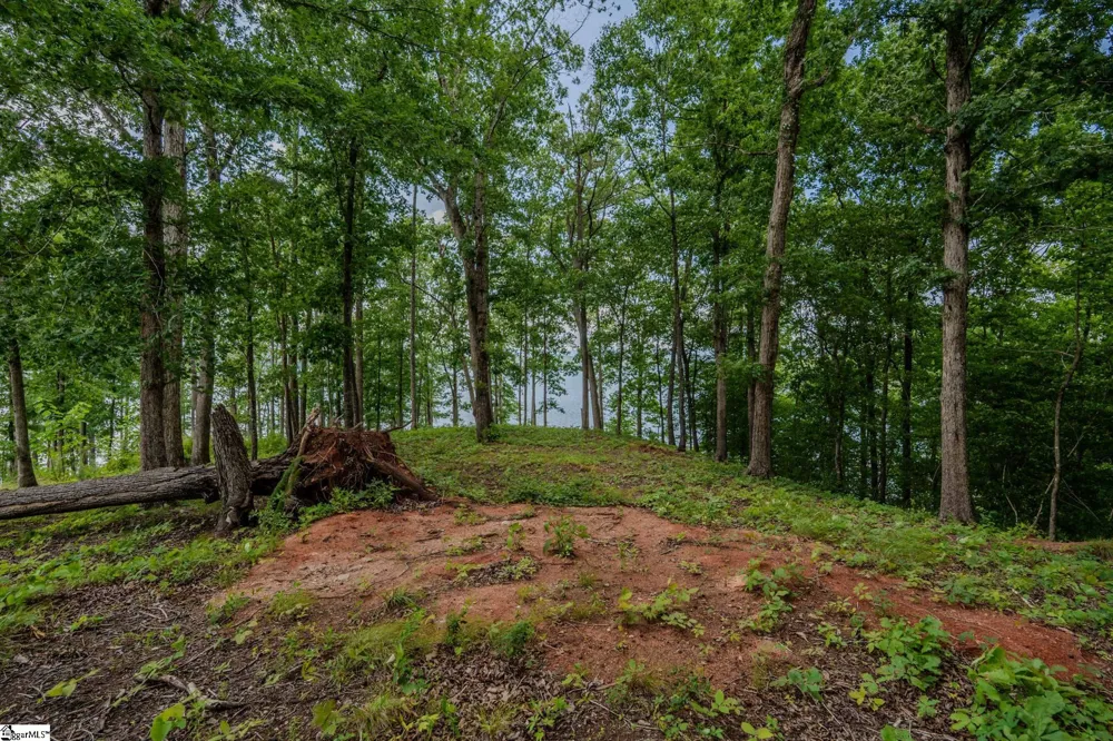 233 Sandy Hollow Court Six Mile, SC 29682