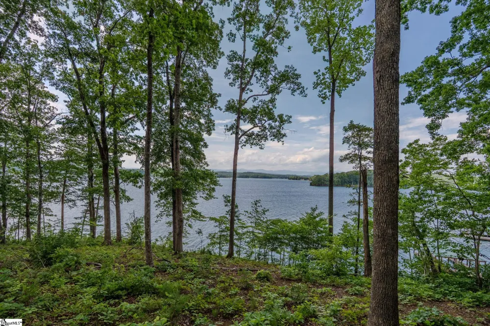 233 Sandy Hollow Court Six Mile, SC 29682