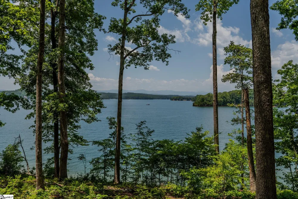 233 Sandy Hollow Court Six Mile, SC 29682