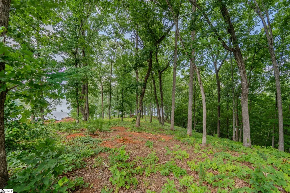 233 Sandy Hollow Court Six Mile, SC 29682