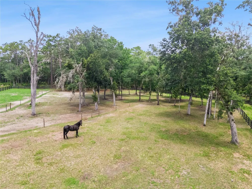 2370 PINE MEADOWS PLACE Oviedo, FL 32766