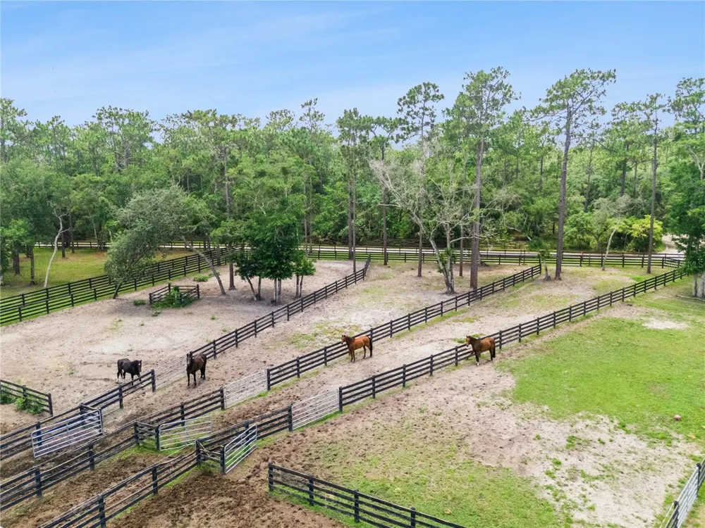 2370 PINE MEADOWS PLACE Oviedo, FL 32766
