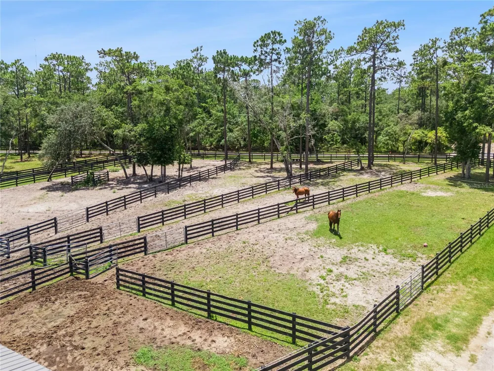 2370 PINE MEADOWS PLACE Oviedo, FL 32766