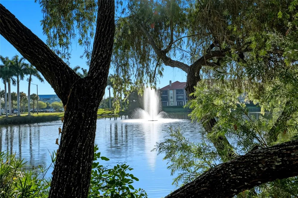2400 FEATHER SOUND DRIVE #1428 Clearwater, FL 33762