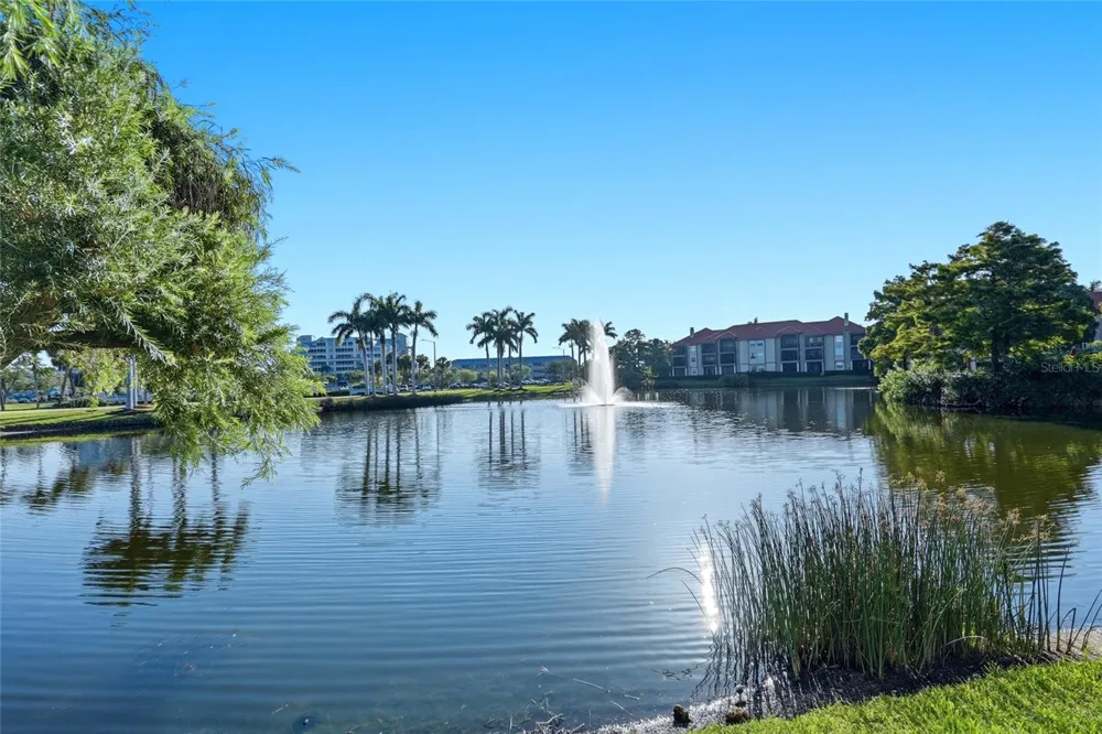 2400 FEATHER SOUND DRIVE #1428 Clearwater, FL 33762
