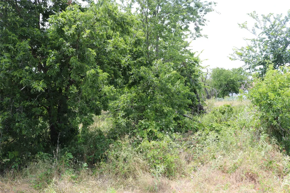 State Highway 6 Dublin, TX 76446