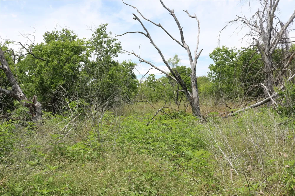 State Highway 6 Dublin, TX 76446
